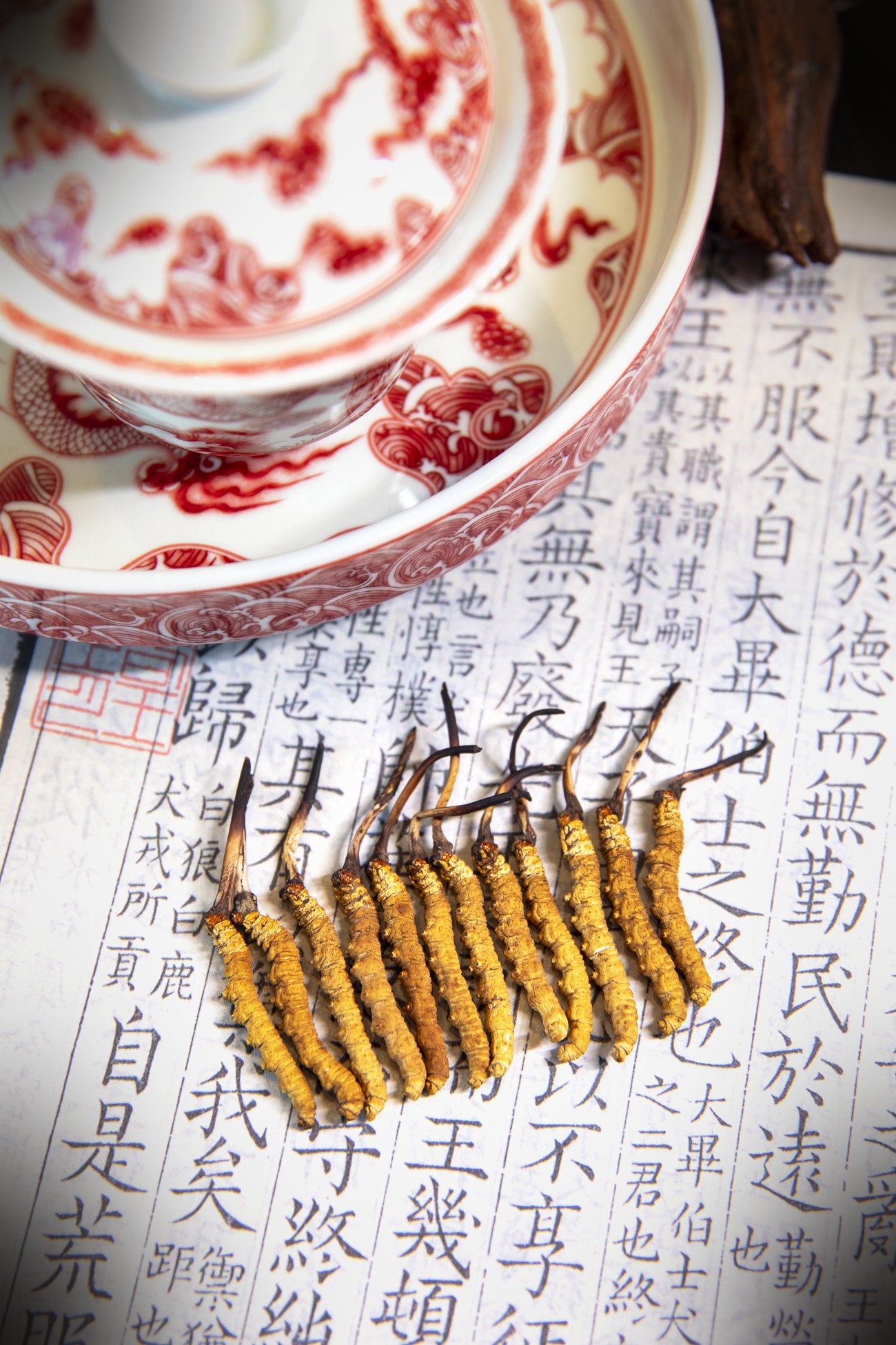 珍峰野生干虫草